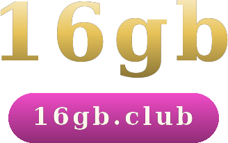 16gb logo